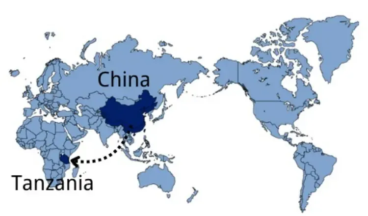 Shipping from China to Tanzania — sea and air freight routes
